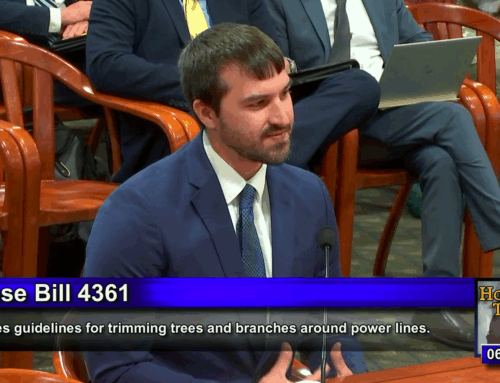 Thumb Electric’s Mazure Testifies in Support of Tree Trimming Standards
