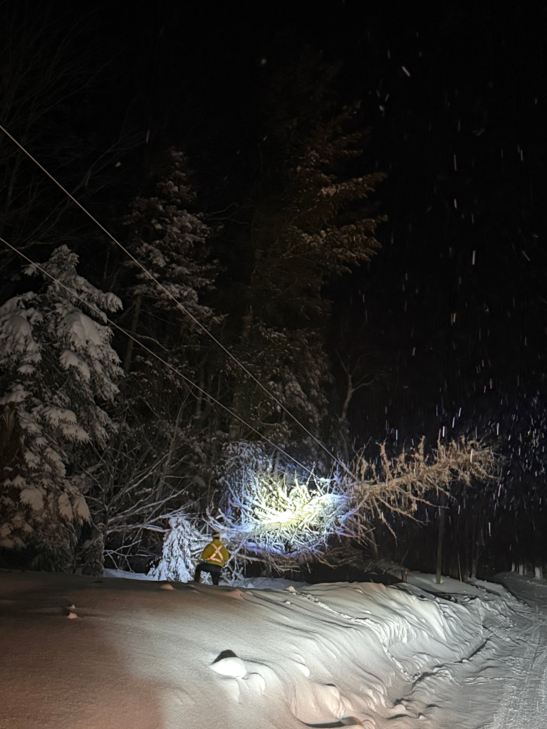 IMG_3685 Lynn Labadie